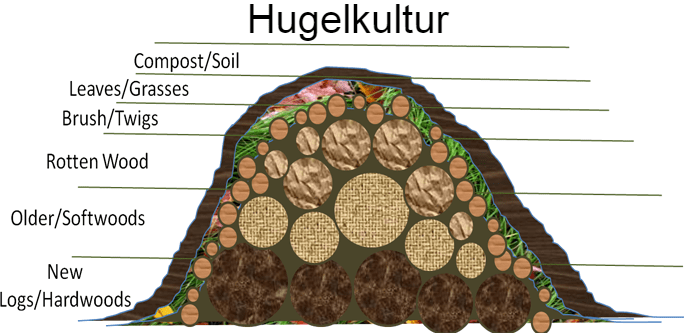 Read more about the article Hugelkulture Garden Bed