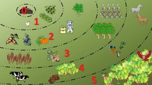 Read more about the article Permaculture Zones