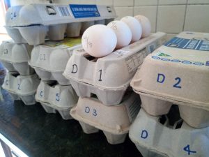 Read more about the article Organising the Egg Chaos